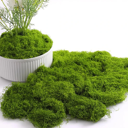 Eternal Life Moss for Terrarium — Artificial Green Plants DIY Crafts Mini Landscape (20/40/100g)
