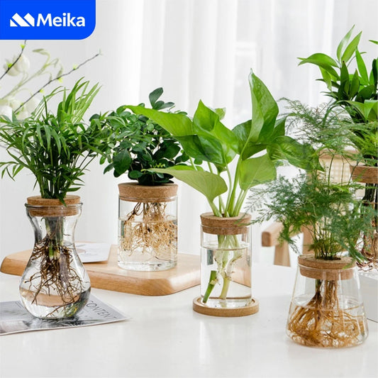Transparent Hydroponic Flower Pot — Creative Mini Terrarium Glass Vase for Soilless Green Plants