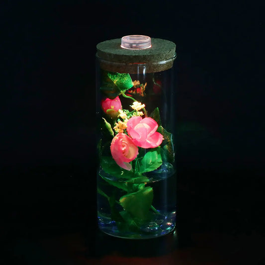 Ecological Glass Terrarium Bottle with LED Light — Cylindrical Cork Aquarium Desktop Ornament (8x18cm)