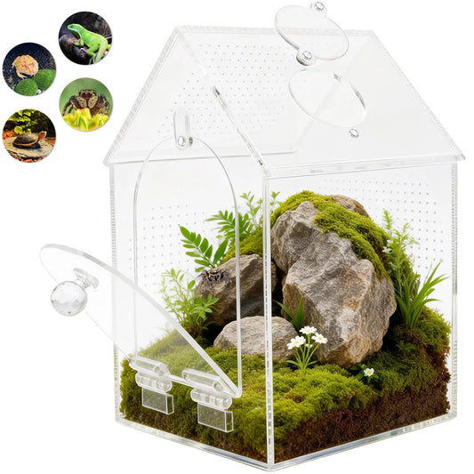 Clear Jumping Spider Enclosure — Acrylic Tarantula Terrarium with Feeding Port & Ventilation Holes