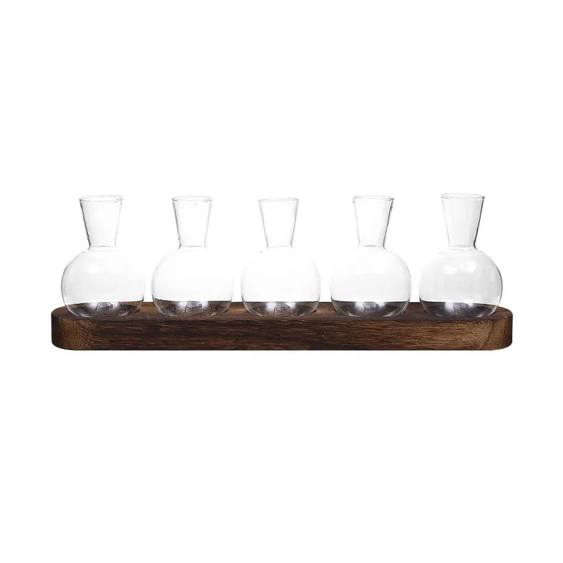 Modern Glass Plant Terrarium with Wooden Tray — Hydroponic Vase for Indoor Propagation Station & Office Decor