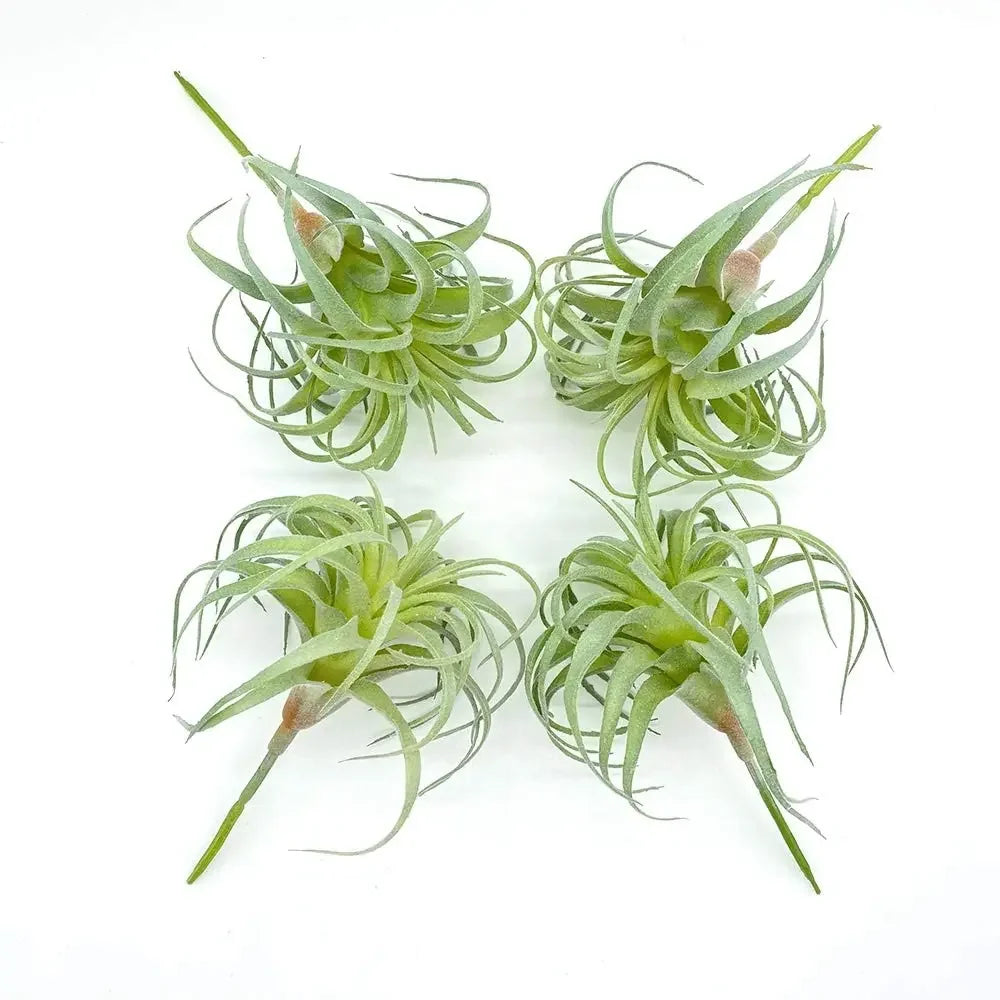 Artificial Air Plants 4 Pack — Faux Tillandsia for Glass Terrarium Decor