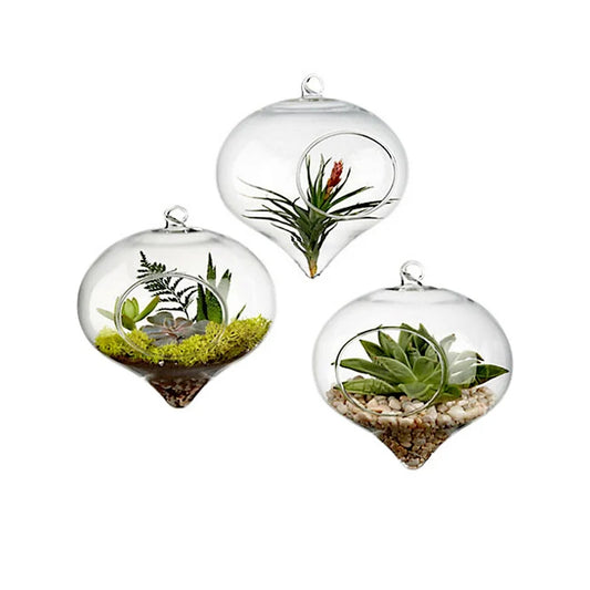 Terrarium Glass Ball Vase — Hanging Flower Planter Container for Home & Wedding Decor (11x9cm)