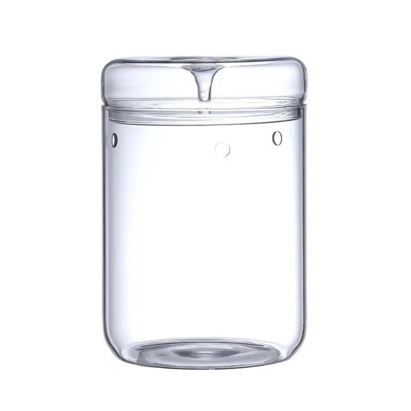Glass Terrarium Dew Vase — Moss & Succulent Micro Landscape Home Decor