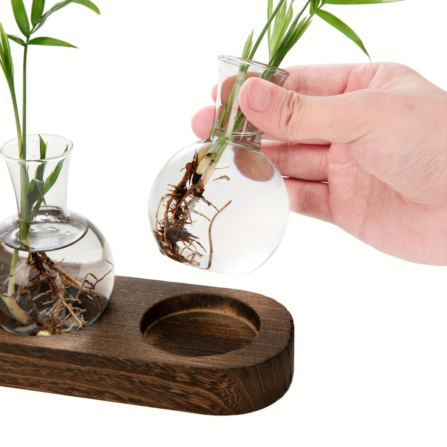 Modern Glass Plant Terrarium with Wooden Tray — Hydroponic Vase for Indoor Propagation Station & Office Decor