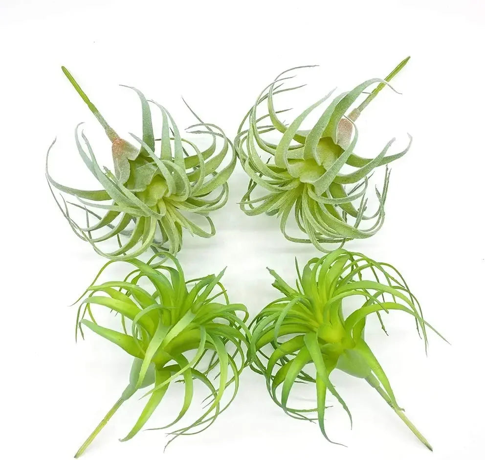 Artificial Air Plants 4 Pack — Faux Tillandsia for Glass Terrarium Decor