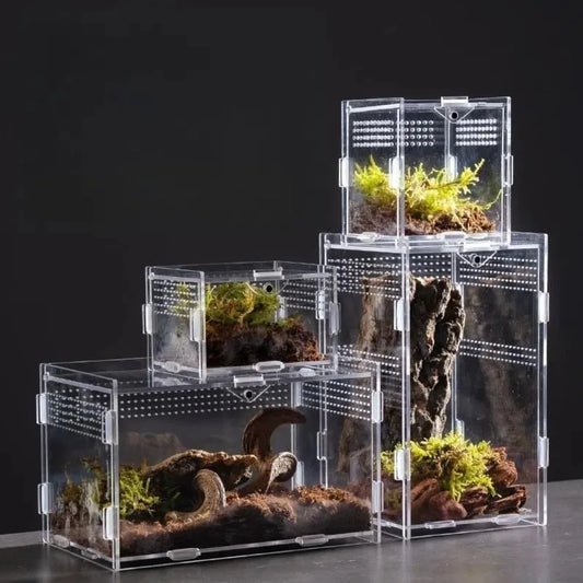 Acrylic Reptile Habitat — Anti-Escape Lizard Breeding Box for Chameleon & Small Pets (Multiple Sizes)