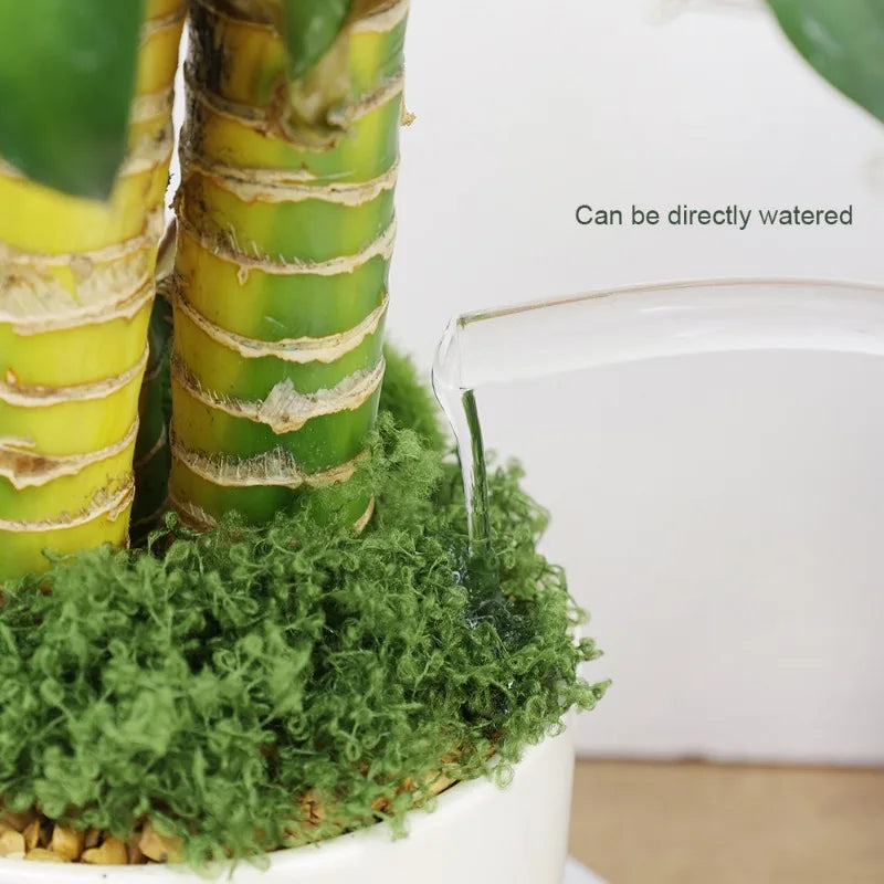 500/30G Artificial Green Plants Eternal Life Moss Mini Landscape Fake Grass DIY Crafts Garden Home Decoration