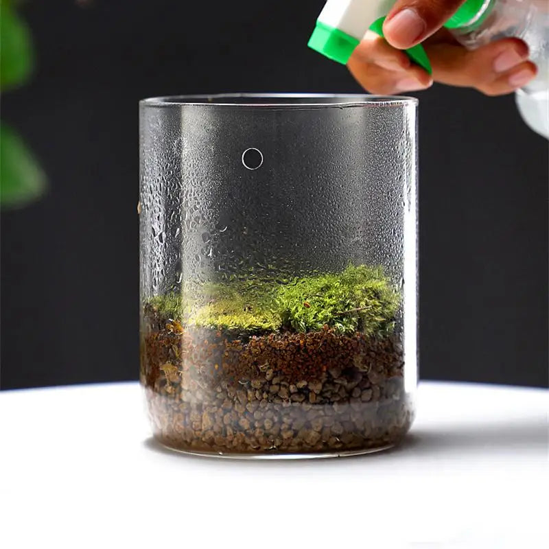 Glass Terrarium Dew Vase — Moss & Succulent Micro Landscape Home Decor