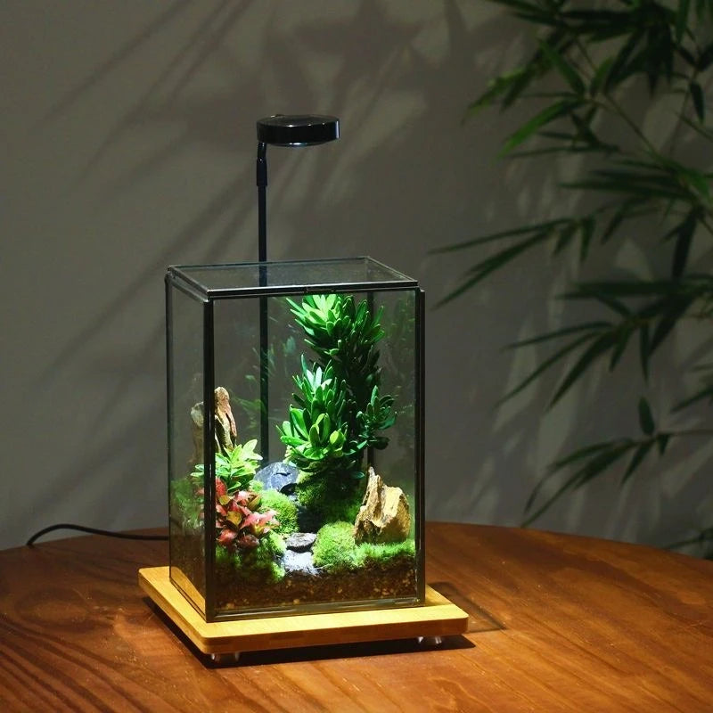 Miniature Rainforest Glass Terrarium — Polyhedron Geometric Terrarium Gift