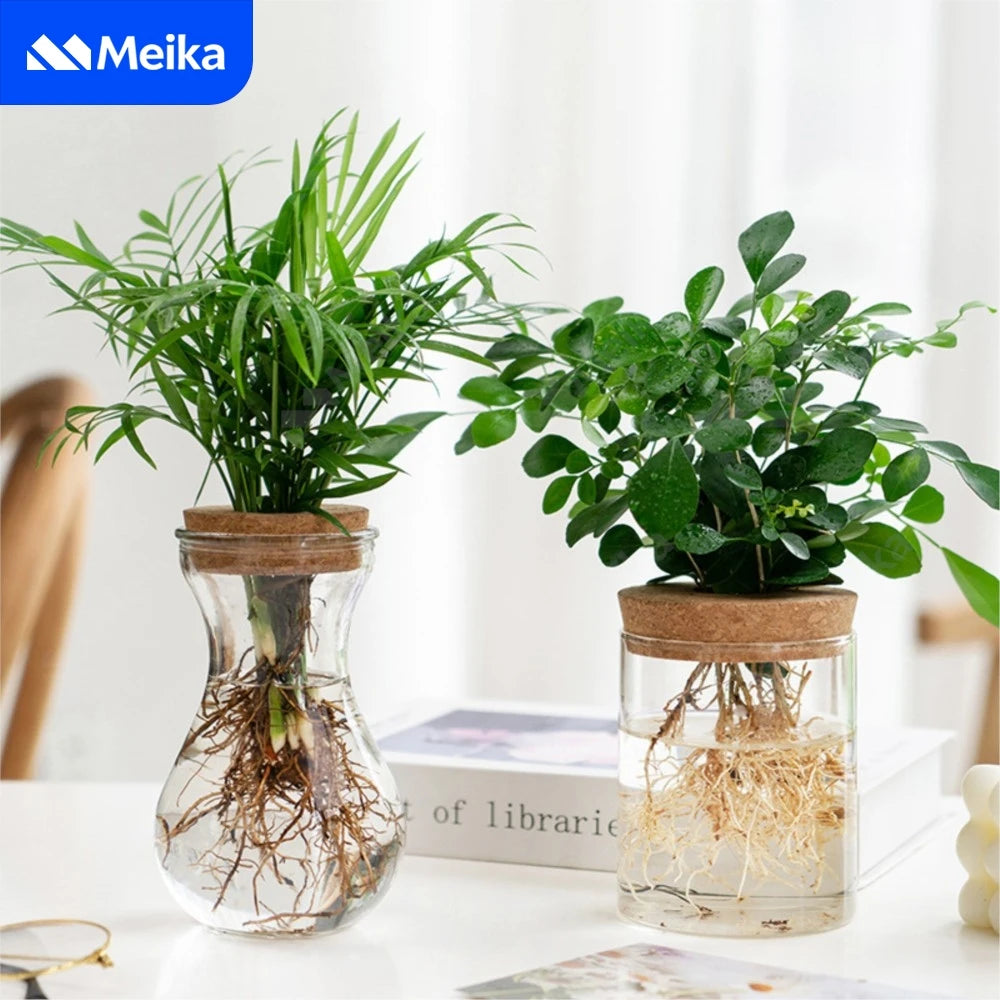 Transparent Hydroponic Flower Pot — Creative Mini Terrarium Glass Vase for Soilless Green Plants