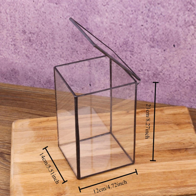 Miniature Rainforest Glass Terrarium — Polyhedron Geometric Terrarium Gift