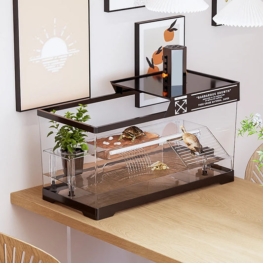 Desktop Ecological Reptile Terrarium — Amphibious Transparent Landscaping Tank for Turtle, Tarantula & Gecko