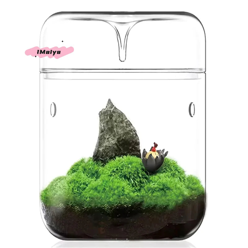 Glass Terrarium Dew Vase — Moss & Succulent Micro Landscape Home Decor