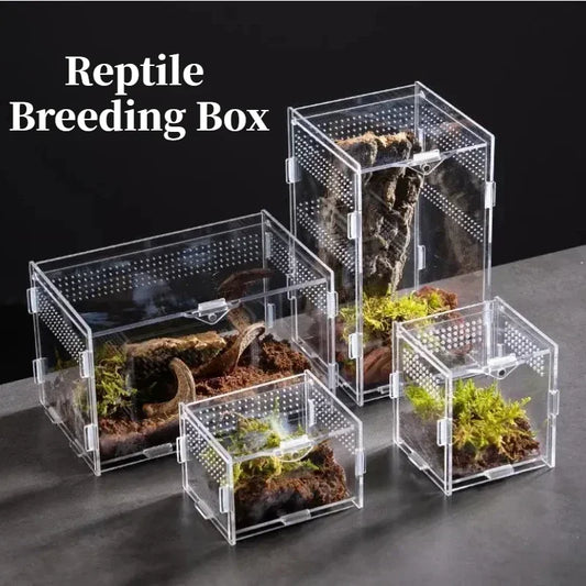 Reptile Habitat Breeding Box — Acrylic Nano Arboreal Enclosure for Spider, Scorpion & Bearded Dragon