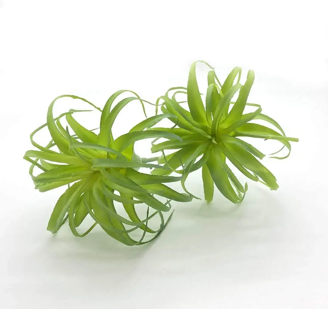 Artificial Air Plants 4 Pack — Faux Tillandsia for Glass Terrarium Decor