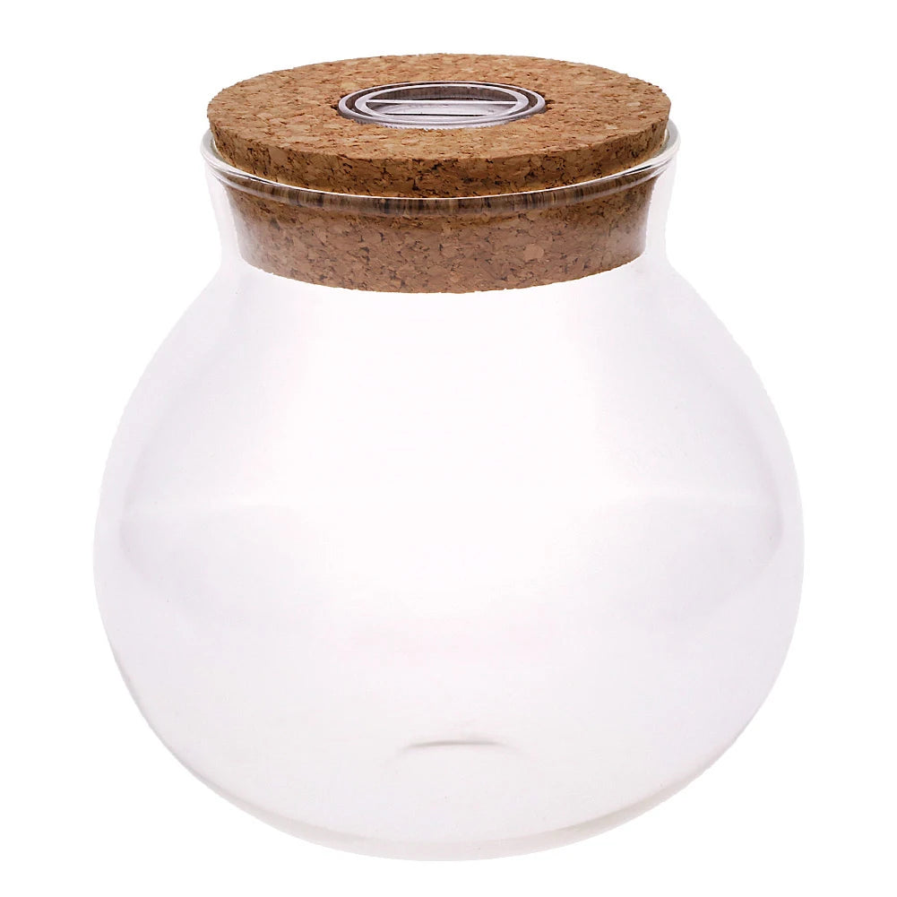 Globe Glass Jar Terrarium with LED Night Light — Cork Stopper Eco-Friendly Micro Landscape Bottle (11cm)