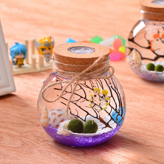 Globe Glass Jar Terrarium with LED Night Light — Cork Stopper Eco-Friendly Micro Landscape Bottle (11cm)