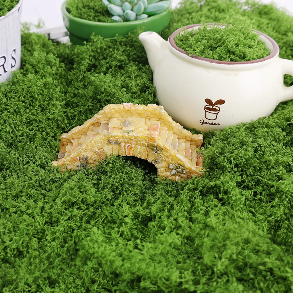 500/30G Artificial Green Plants Eternal Life Moss Mini Landscape Fake Grass DIY Crafts Garden Home Decoration