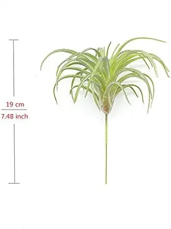 Artificial Air Plants 4 Pack — Faux Tillandsia for Glass Terrarium Decor