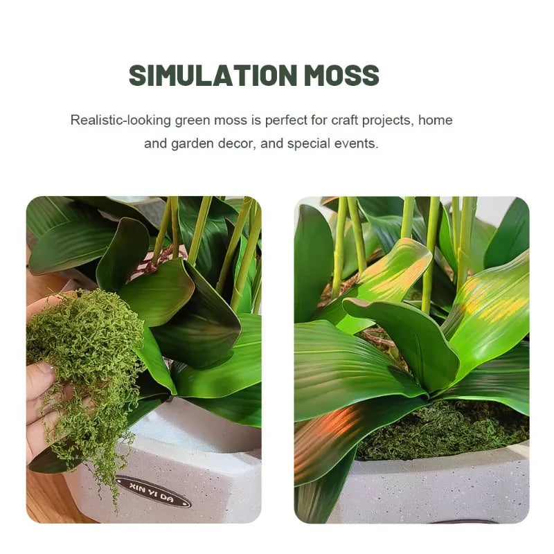 500/30G Artificial Green Plants Eternal Life Moss Mini Landscape Fake Grass DIY Crafts Garden Home Decoration