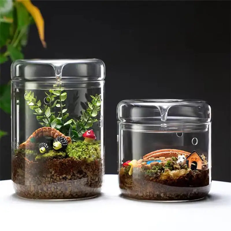 Glass Terrarium Dew Vase — Moss & Succulent Micro Landscape Home Decor