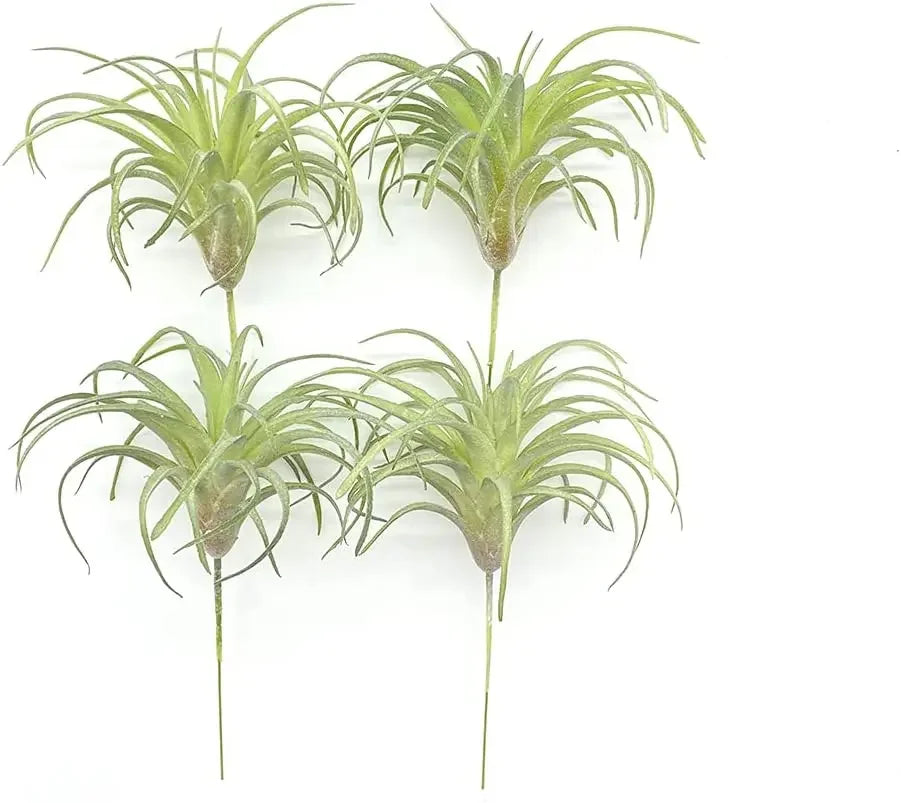 Artificial Air Plants 4 Pack — Faux Tillandsia for Glass Terrarium Decor