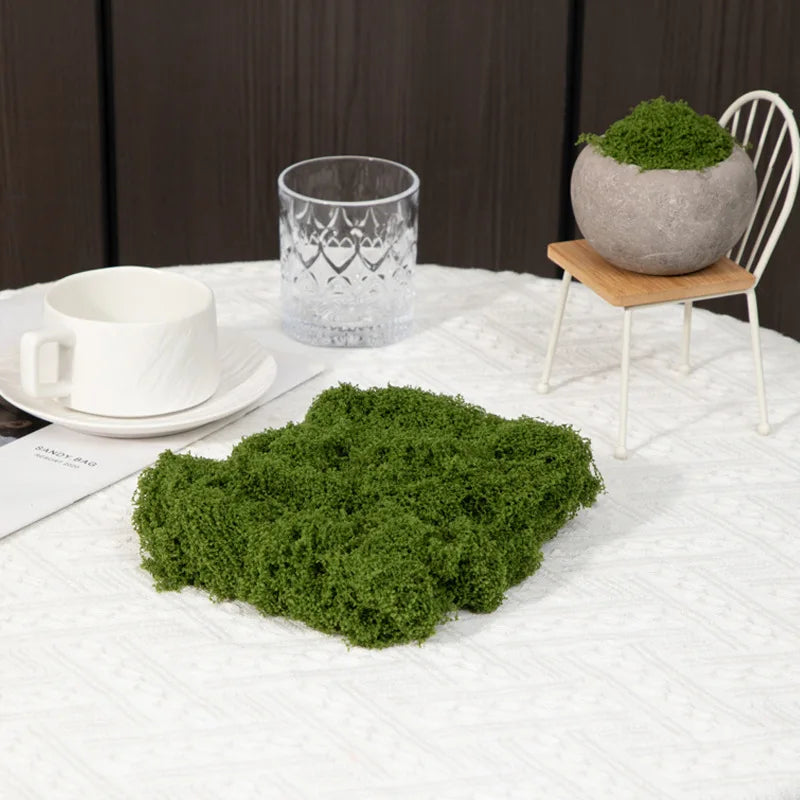 Eternal Life Moss 200g — Premium Preserved Green Moss for Terrarium Decor