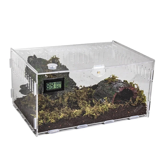 Acrylic Reptile Terrarium with Thermometer — Desktop Display Box for Reptiles & Invertebrates Kids Gift