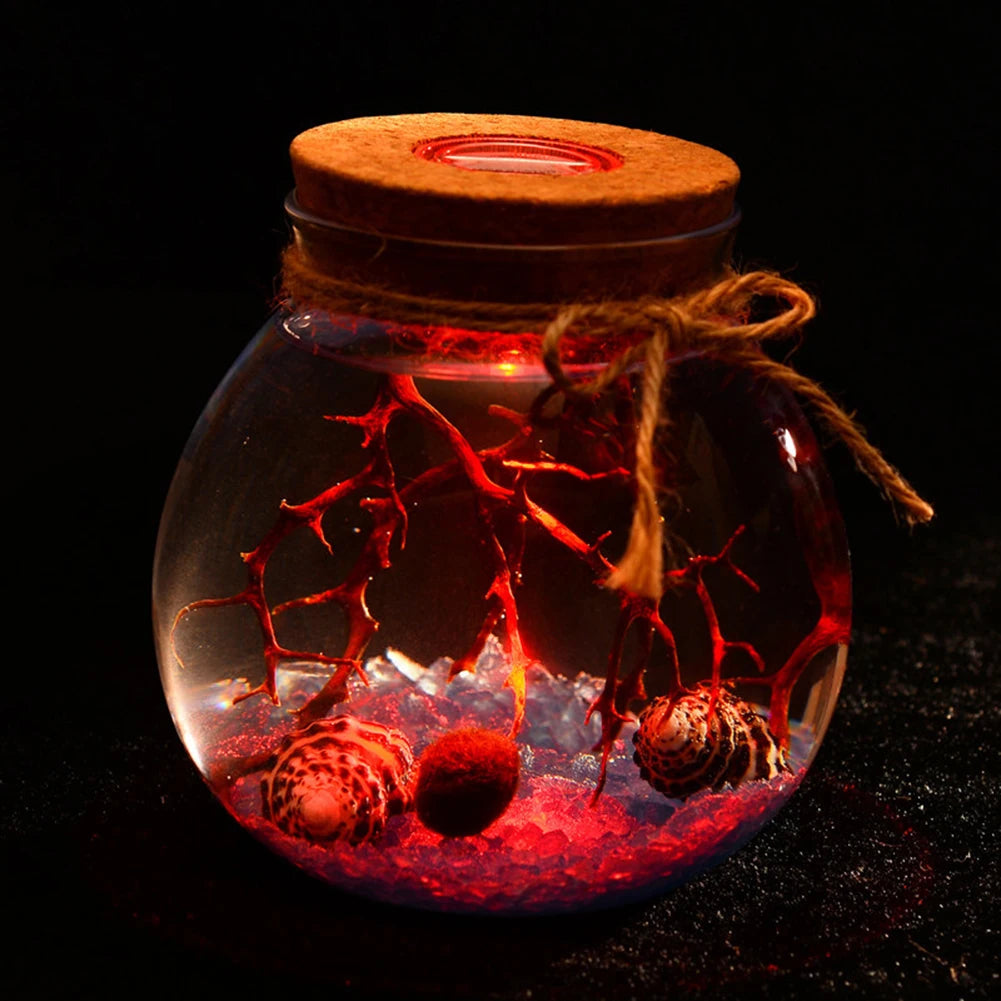 Globe Glass Jar Terrarium with LED Night Light — Cork Stopper Eco-Friendly Micro Landscape Bottle (11cm)