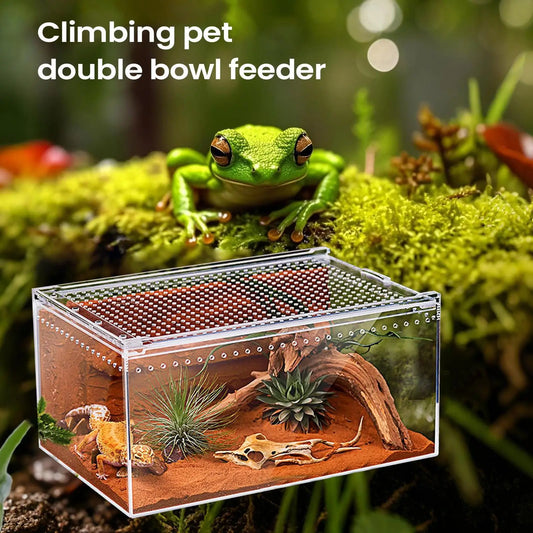 Spider Enclosure Transparent Reptile Terrarium — Ventilated Tank for Tarantula, Gecko, Snake & Scorpion