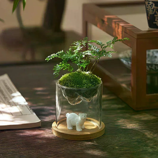Glass Terrarium for Mountain Views — Moss Planter Hydroponic Plant Container Home Decoration Gift