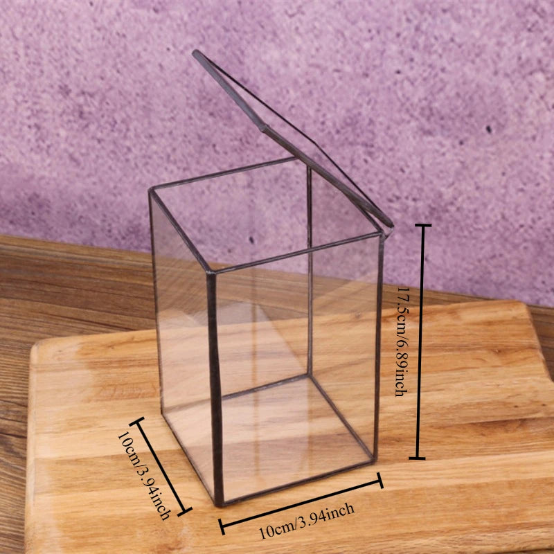 Miniature Rainforest Glass Terrarium — Polyhedron Geometric Terrarium Gift