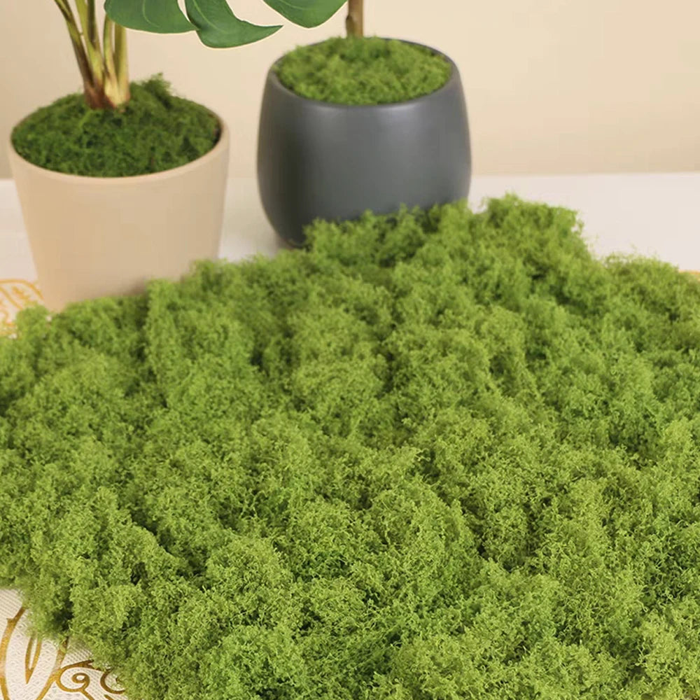 500/30G Artificial Green Plants Eternal Life Moss Mini Landscape Fake Grass DIY Crafts Garden Home Decoration