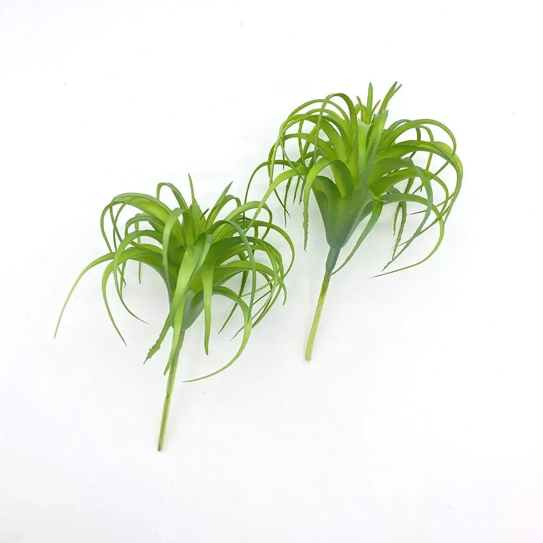 Artificial Air Plants 4 Pack — Faux Tillandsia for Glass Terrarium Decor