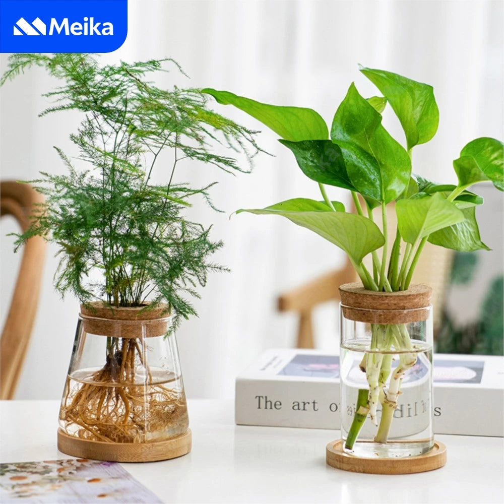 Transparent Hydroponic Flower Pot — Creative Mini Terrarium Glass Vase for Soilless Green Plants