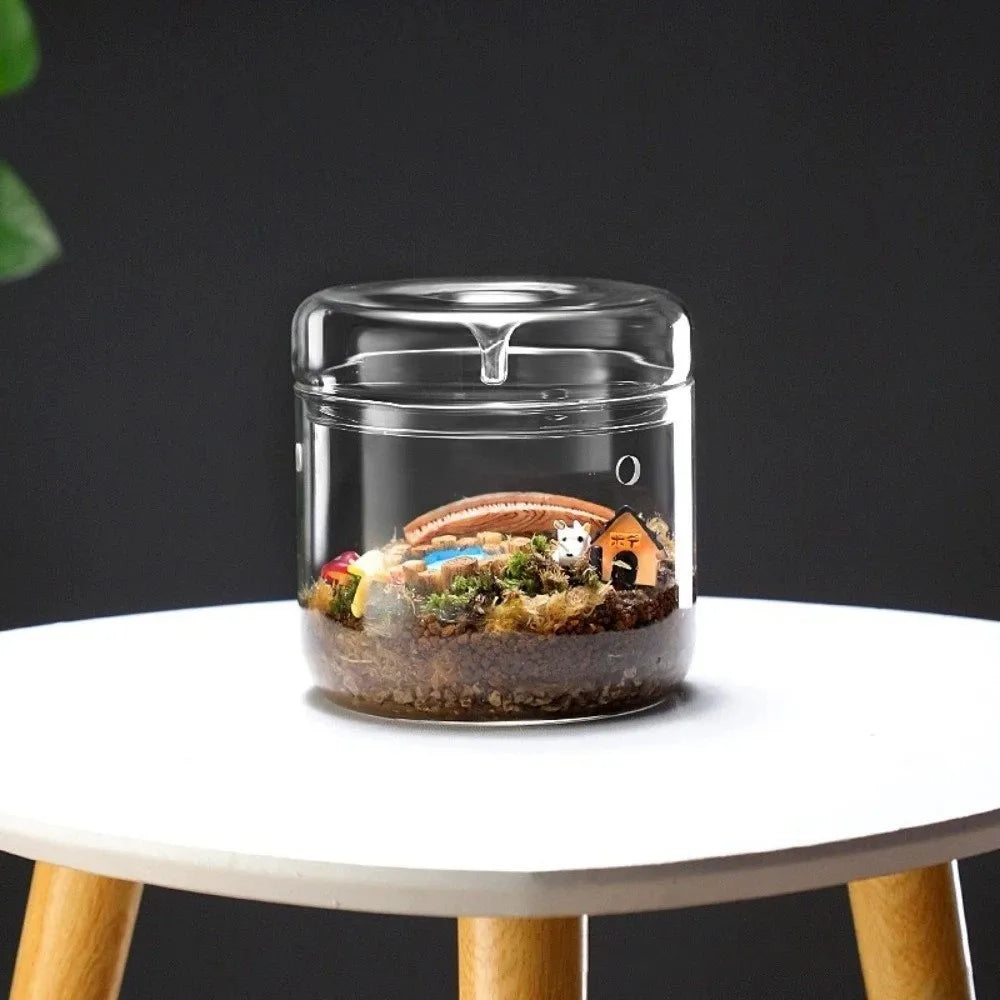 Transparent Glass Terrarium Cylinder — Perforated Cover Succulent & Moss Viewing Bottle Bonsai Display